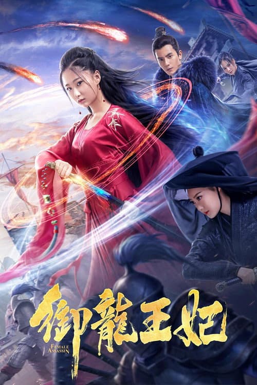 御龙王妃 afişi
