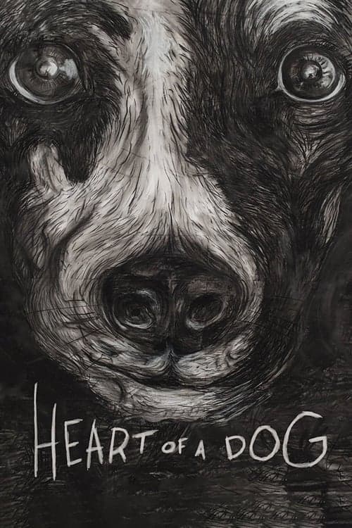 Heart of a Dog afişi