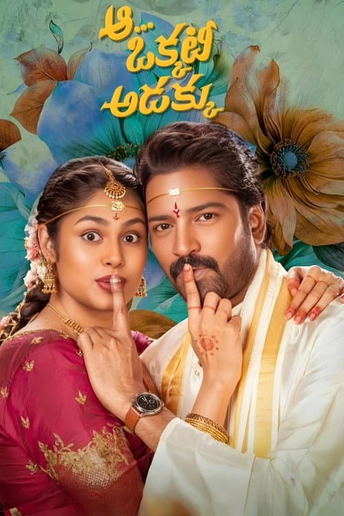 ఆ ఒక్కటీ అడక్కు afişi