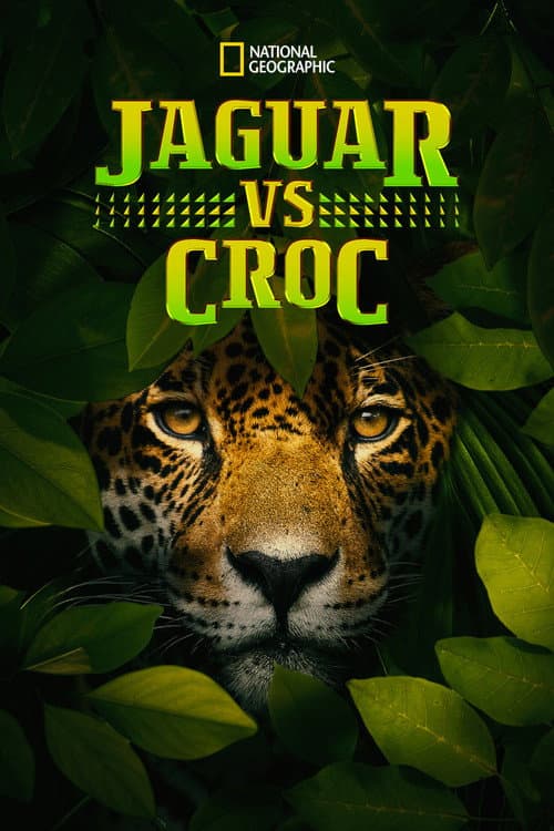 Jaguarlar Timsahlara Karşı afişi