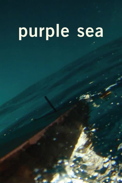 Das Purpurmeer afişi