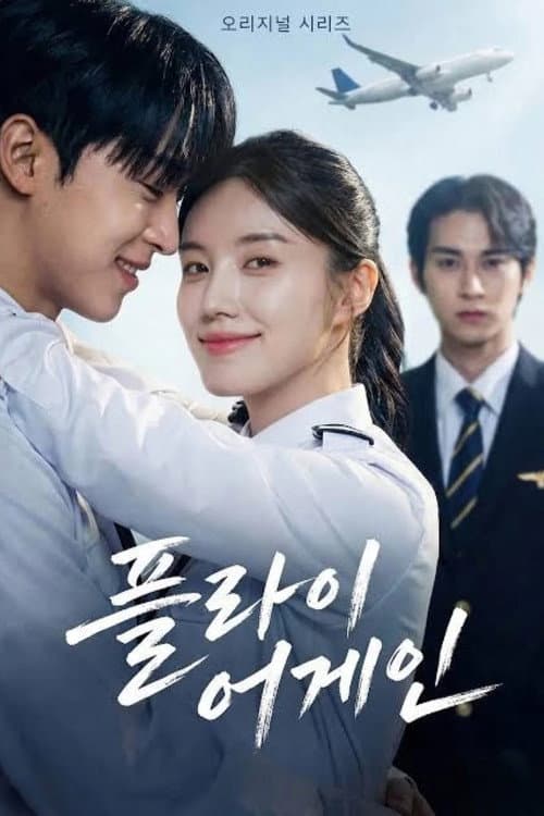 플라이 어게인 afişi