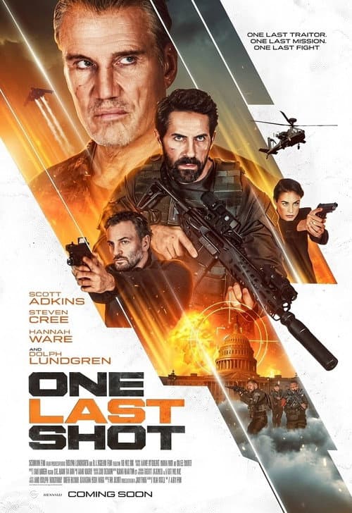 One Last Shot afişi