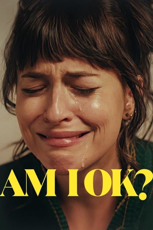 Am I OK? afişi