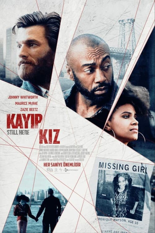 Kayıp Kız afişi
