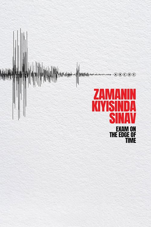 Zamanın Kıyısında Sınav afişi