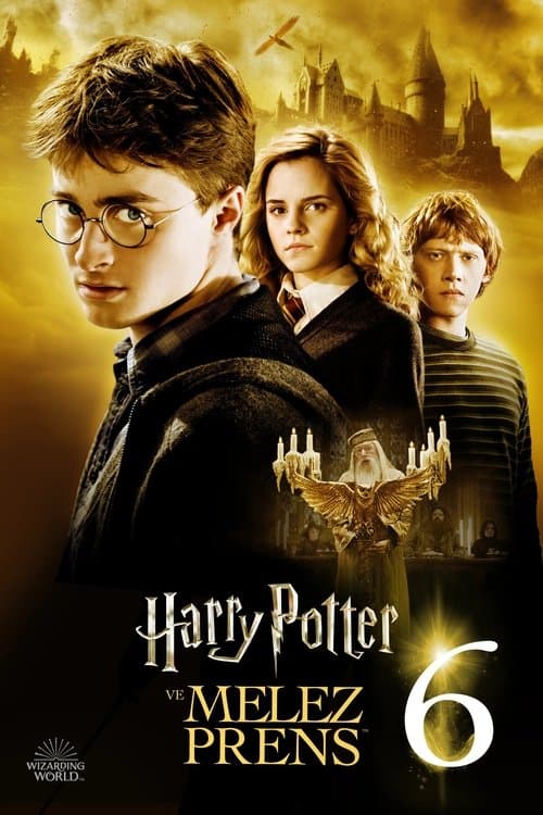 Harry Potter ve Melez Prens afişi