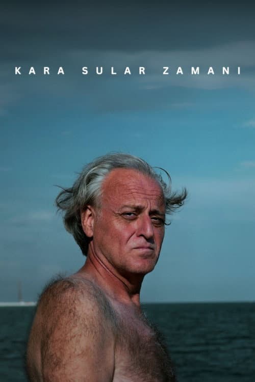Kara Sular Zamanı afişi