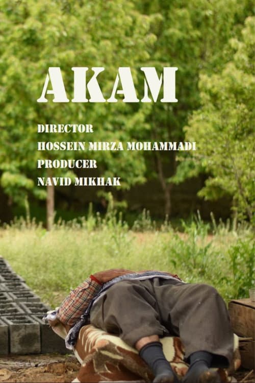 Akam afişi