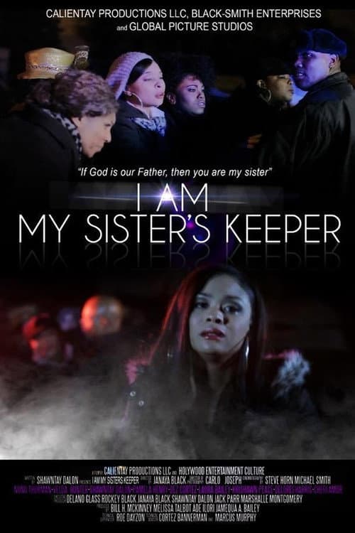 I Am My Sister's Keeper afişi