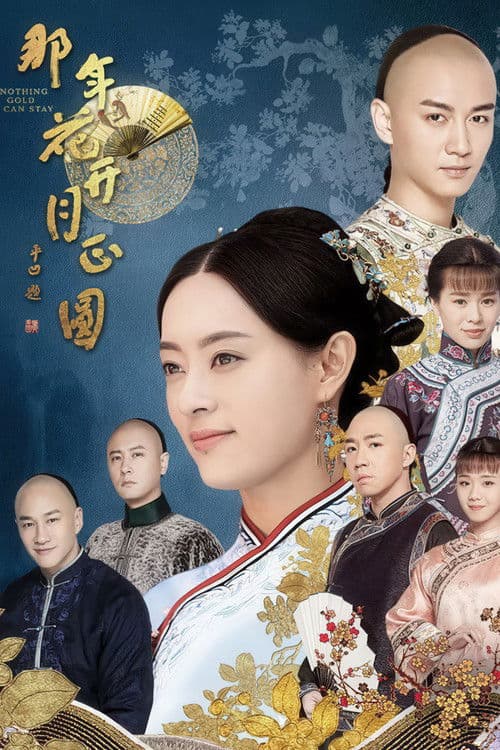 那年花开月正圆 afişi