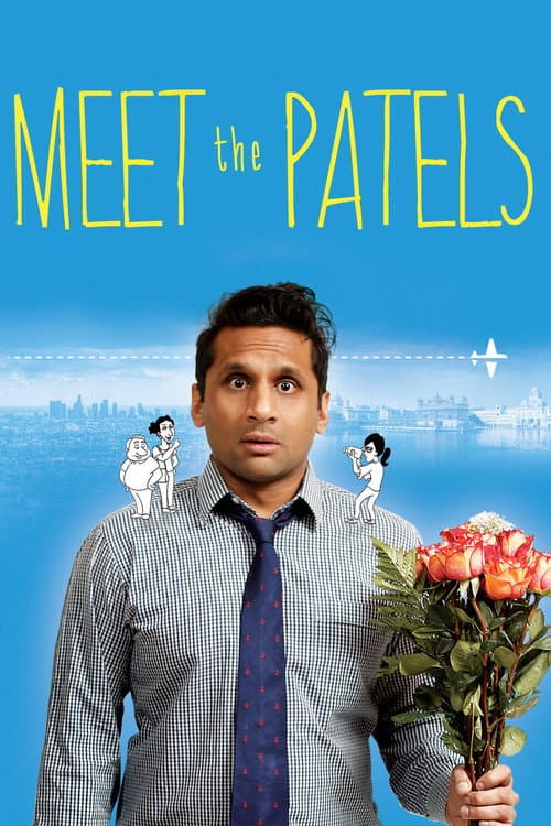 Meet the Patels afişi