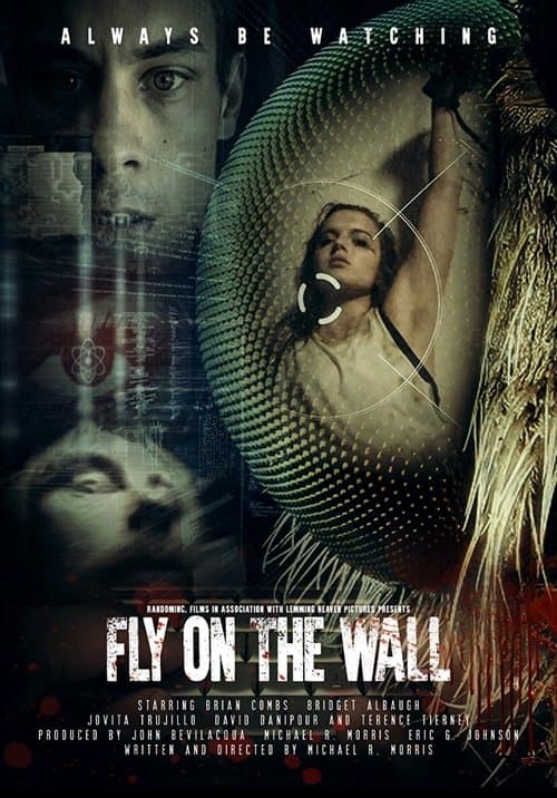 Fly on the Wall afişi