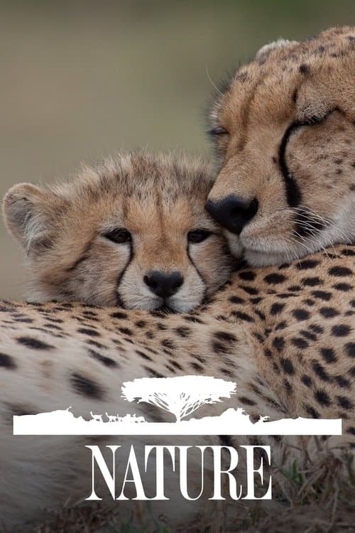 Nature afişi