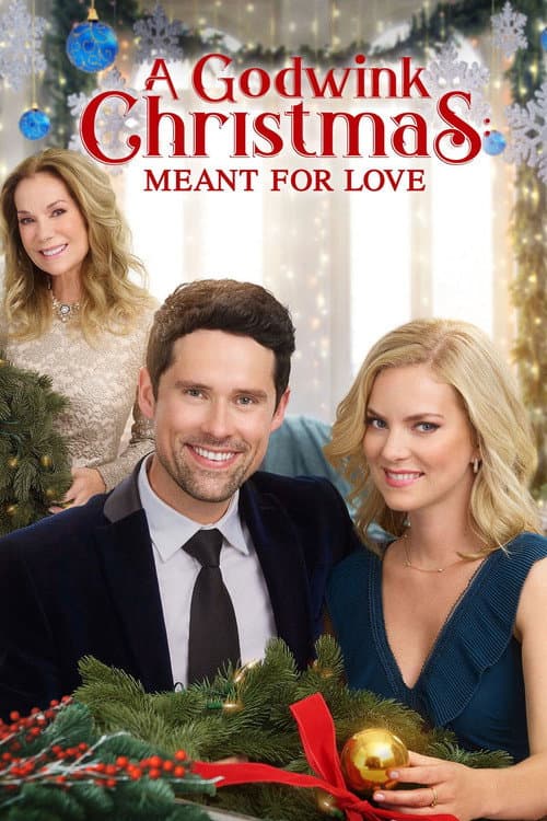 A Godwink Christmas: Meant For Love afişi