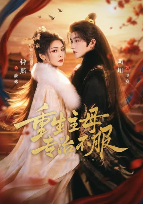 重生主母，专治不服 afişi
