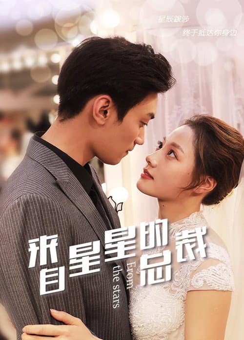 来自星星的总裁 afişi