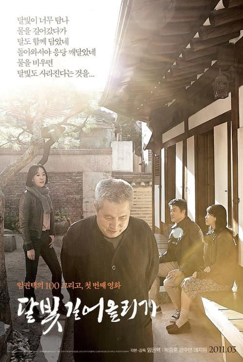 달빛 길어올리기 afişi