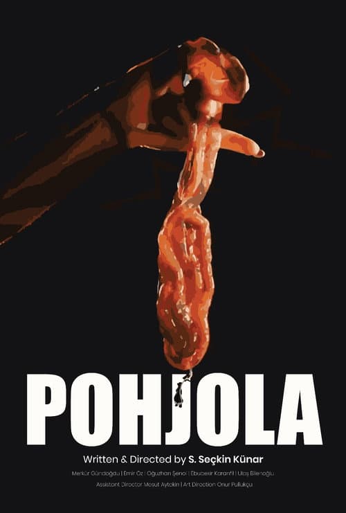 pohjola afişi