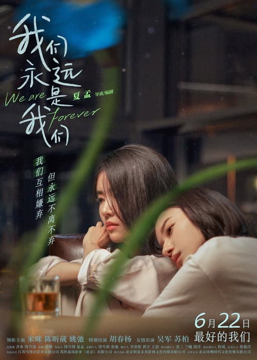 我们永远是我们 afişi
