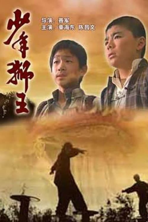 少年狮王 afişi