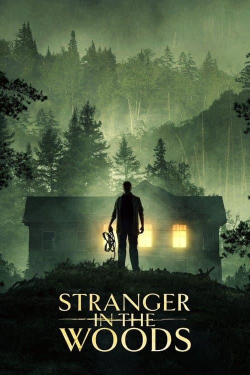 Stranger in the Woods afişi