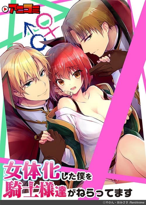 女体化した僕を騎士様達がねらってます afişi