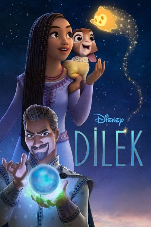 Dilek afişi