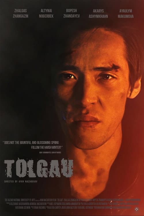 Tolgau afişi