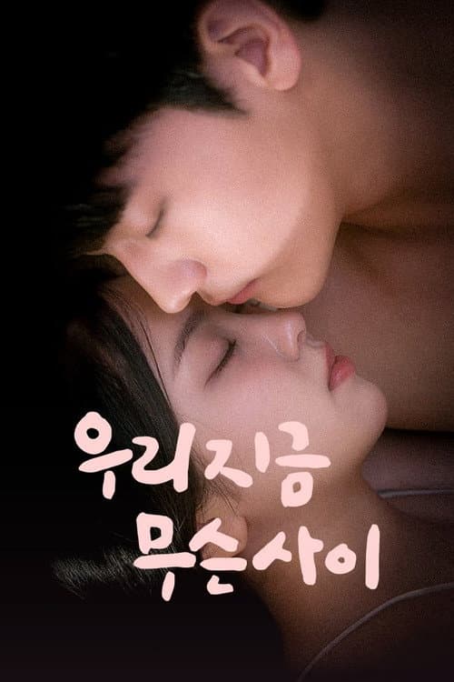 우리 지금 무슨 사이 afişi