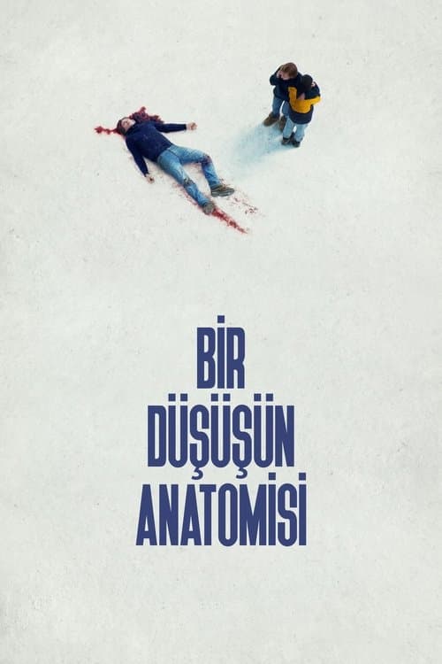 Bir Düşüşün Anatomisi afişi