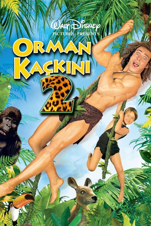 Orman Kaçkını 2 afişi