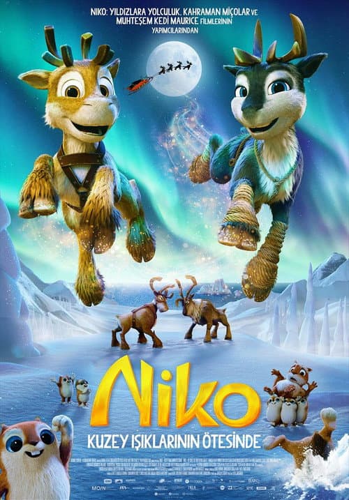 Niko: Kuzey Işıklarının Ötesinde afişi