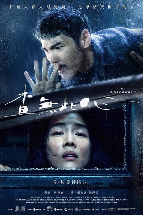 查無此心 afişi