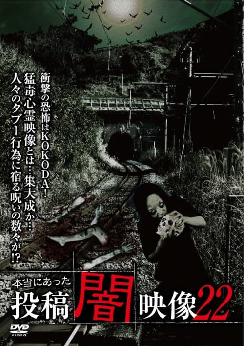 本当にあった　投稿　闇映像22 afişi