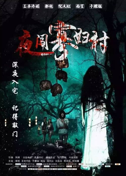 夜闯寡妇村 afişi