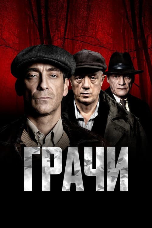 Грачи afişi
