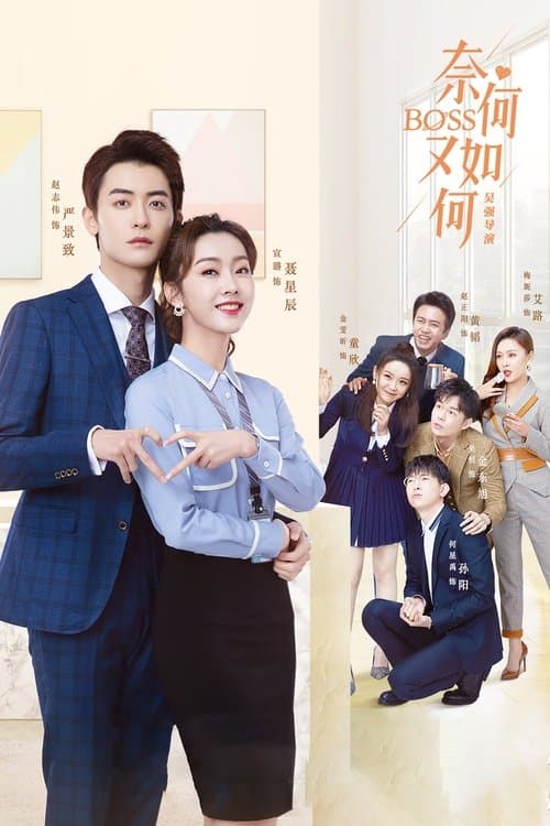 奈何BOSS又如何 afişi