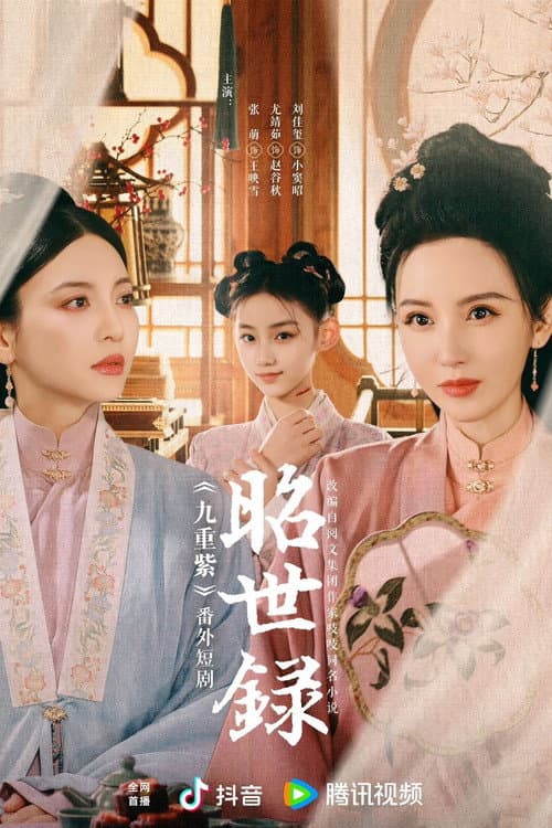 昭世录 afişi