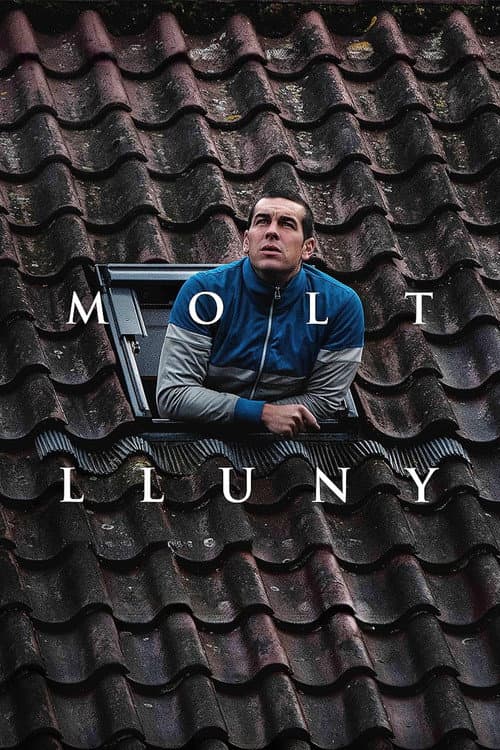 Molt lluny afişi