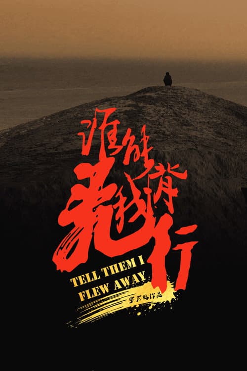 谁能背我飞行 afişi