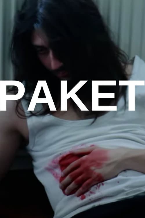 Paket afişi
