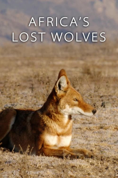 Africa's Lost Wolves afişi