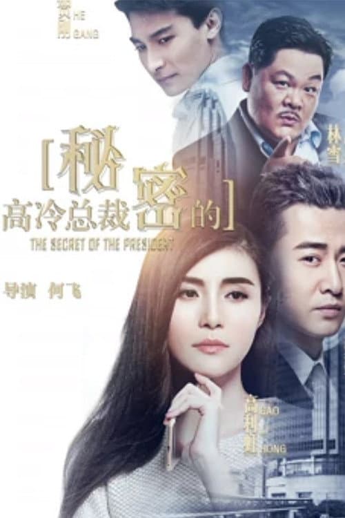 高冷总裁的秘密 afişi