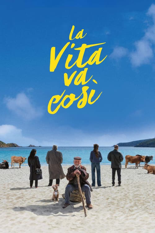 La vita va così afişi