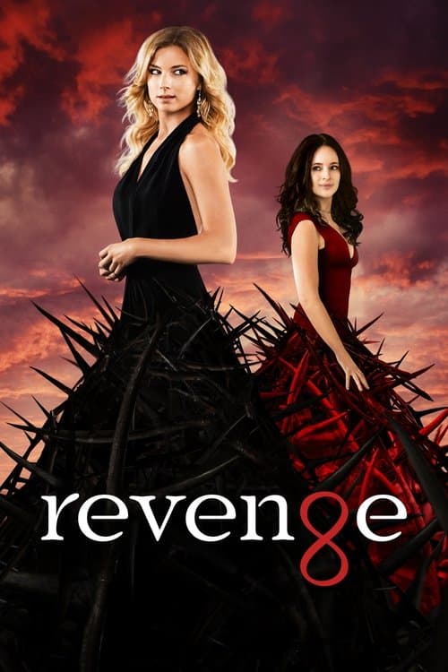 Revenge afişi