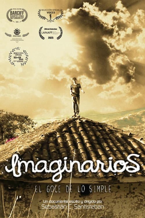 2013: Imaginarios, el goce de lo simple afişi