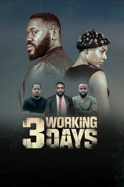 3 Working Days afişi