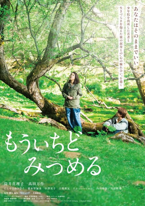 もういちどみつめる afişi