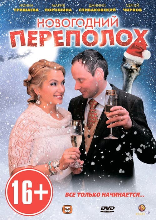 Новогодний переполох afişi